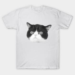 Isolated cat head. T-Shirt